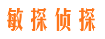 武陵市侦探公司